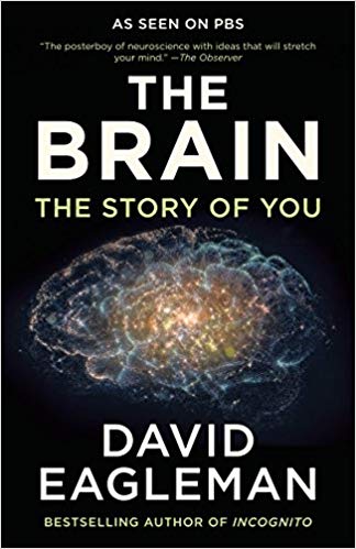 The Brain DE books