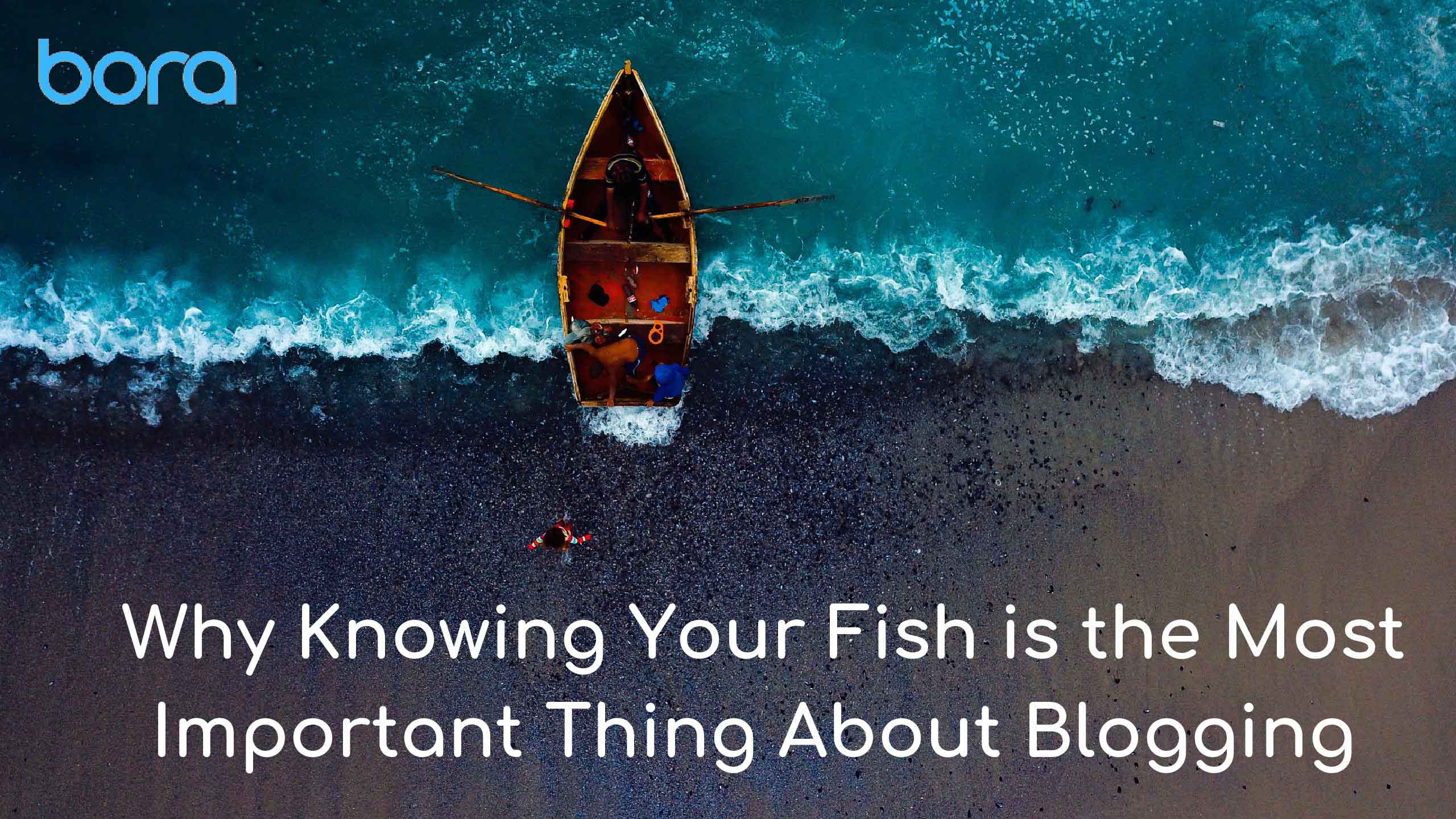 Why Knowing Your Fish is the Most Important Thing About Blogging