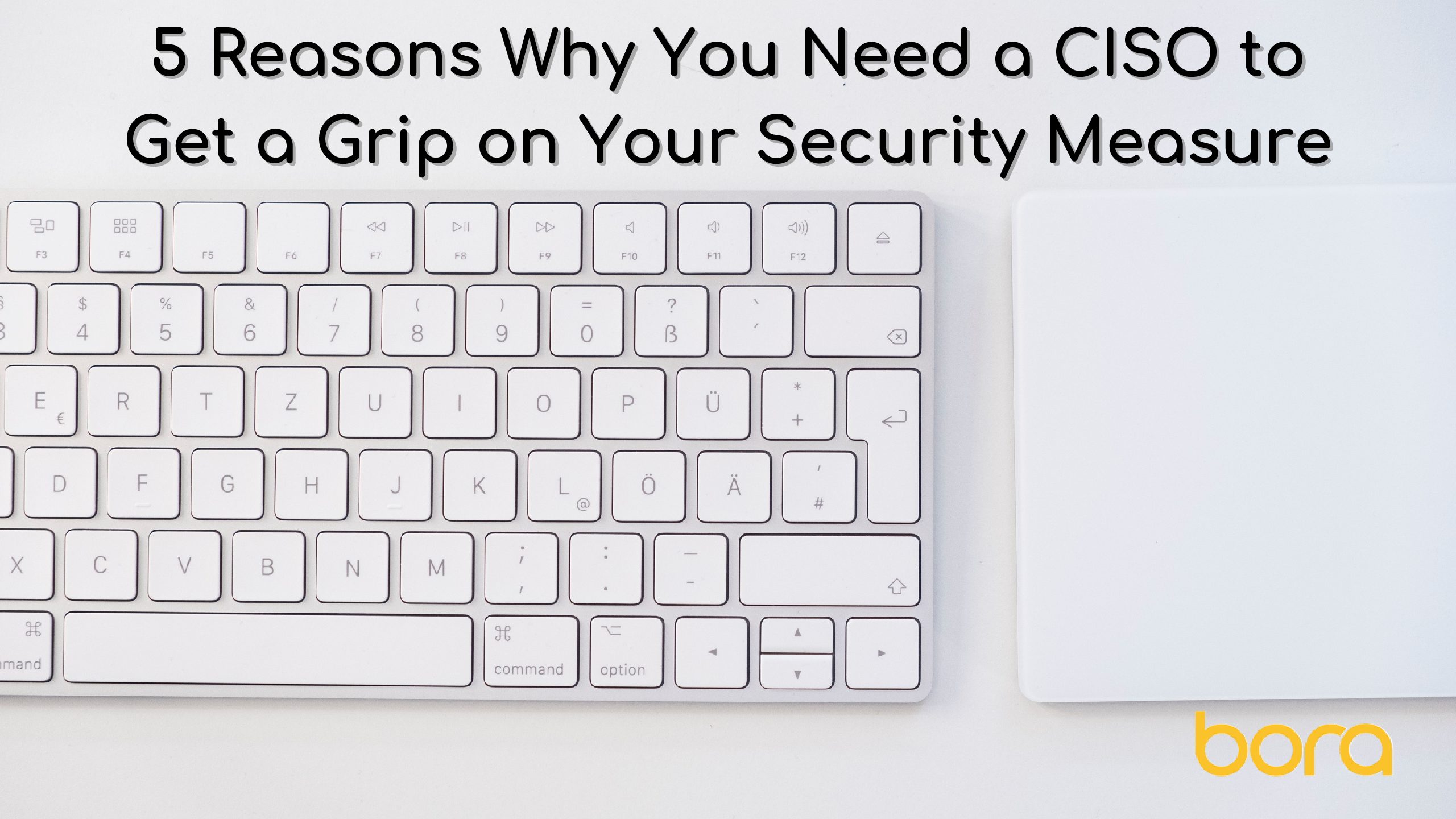 5 Reasons Why You Need a CISO to Get a Grip on Your Security Measure