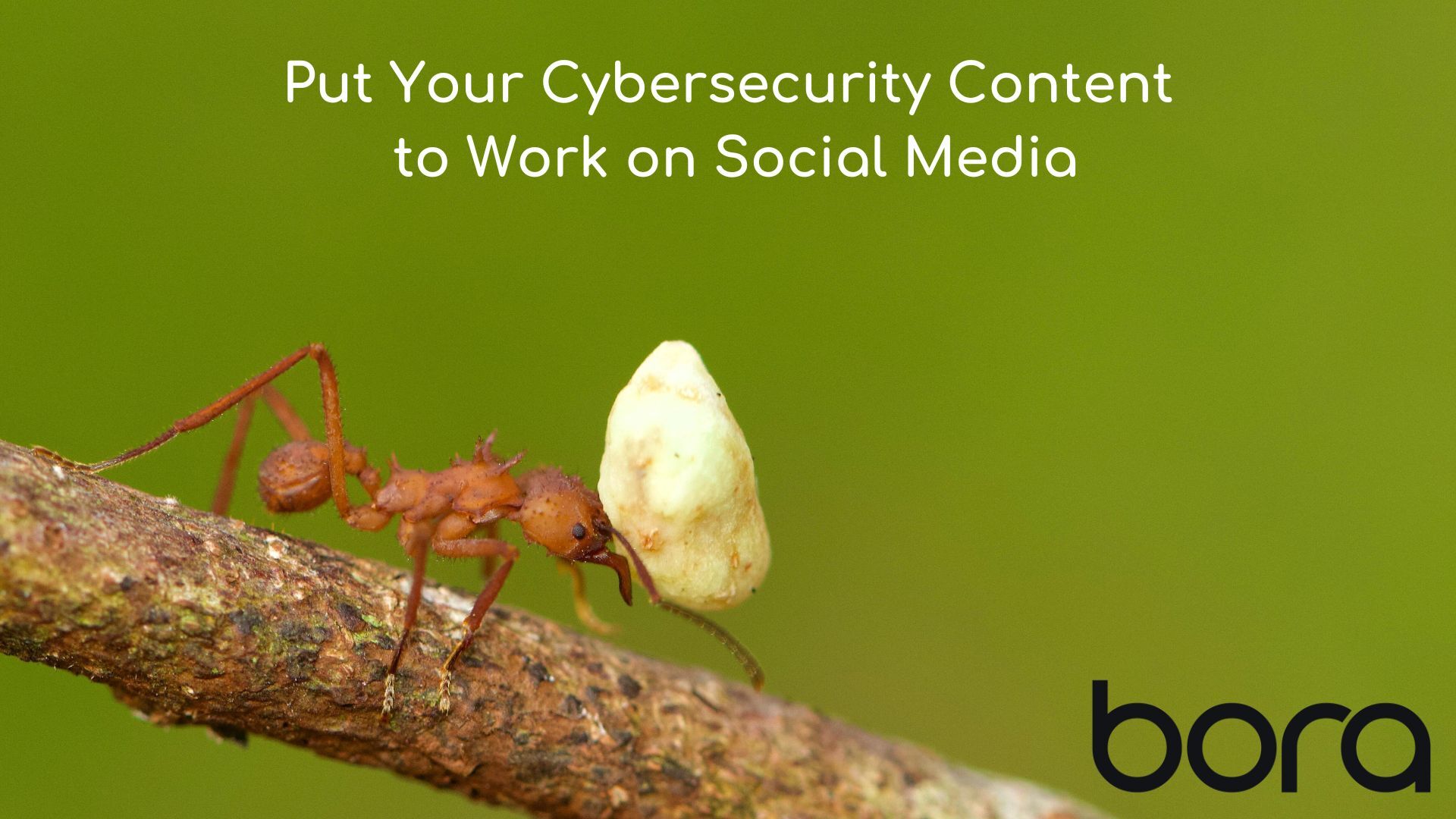 Put Your Cybersecurity Content to Work on Social Media