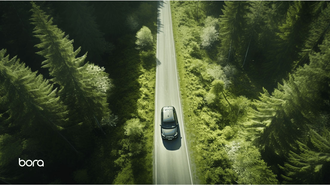 Car drivng through a forest
