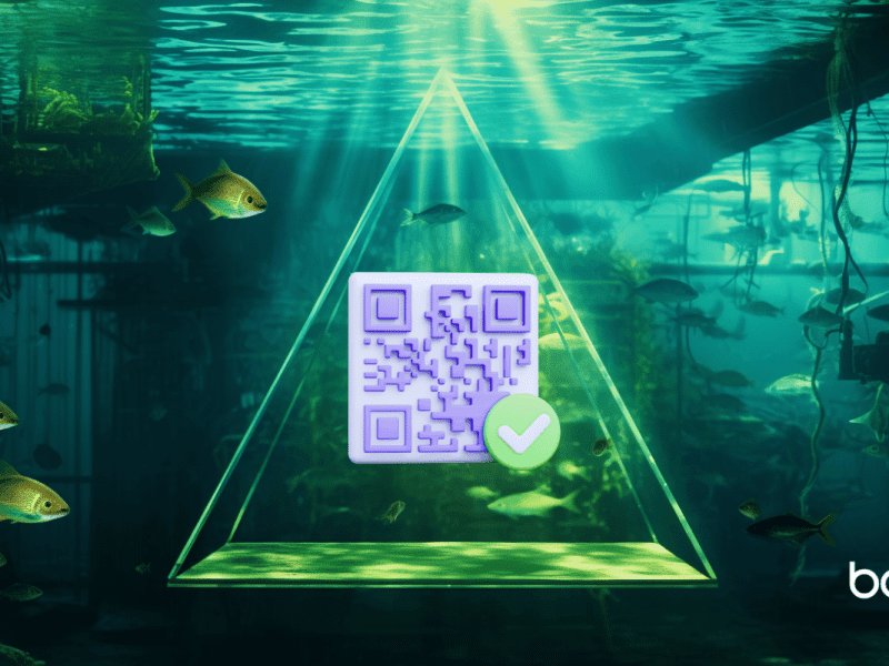 Qishing: The Rise of QR Code Phishing